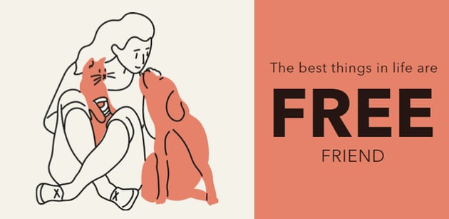 Cute Pet Themed Twitter Header Template