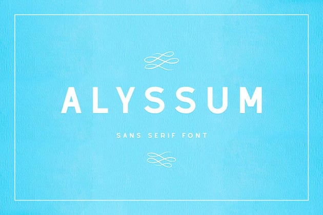 Alyssum Simple Modern Fonts