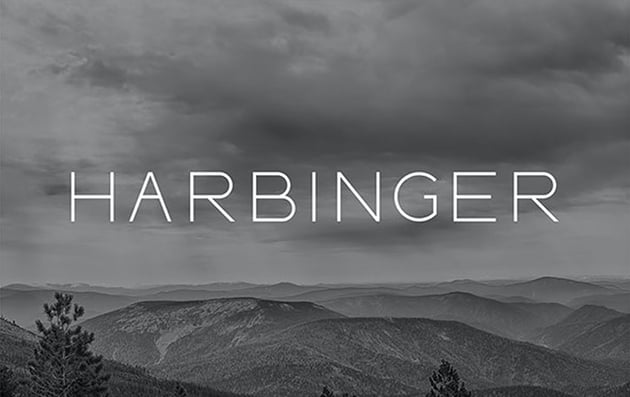 Harbinger Thin Modern Fonts