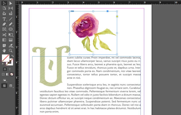 indesign place image