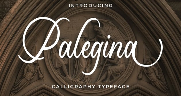 Palegina - Cursive Cricut Font