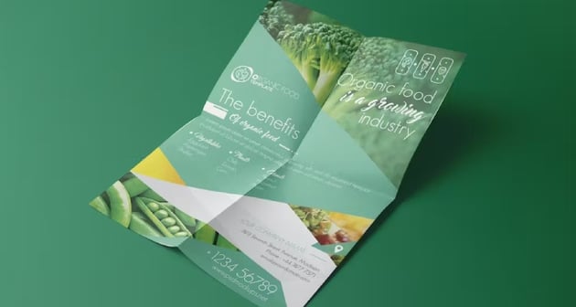 Organic Food Template PSD Flyer