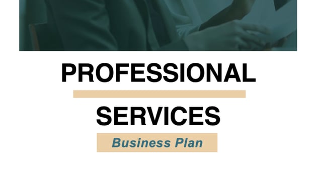 Professional Services Free Marketing Plan Template