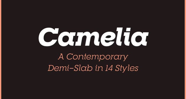 RNS Camelia - Premium Graphic Font