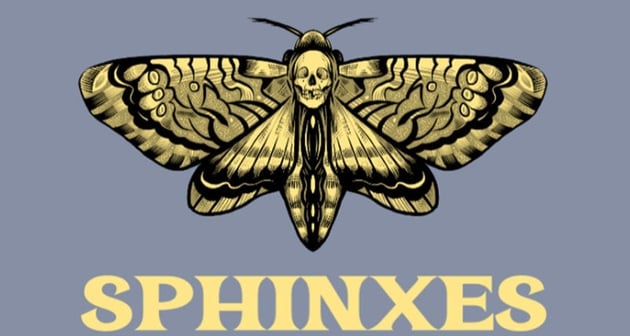 Yellow and Black Butterfly Logo