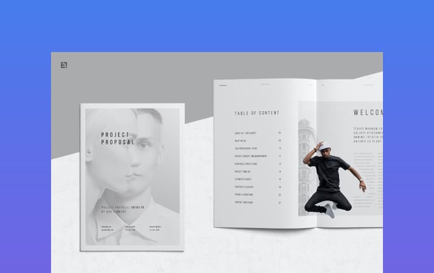 Clean Example of Project Proposal Template