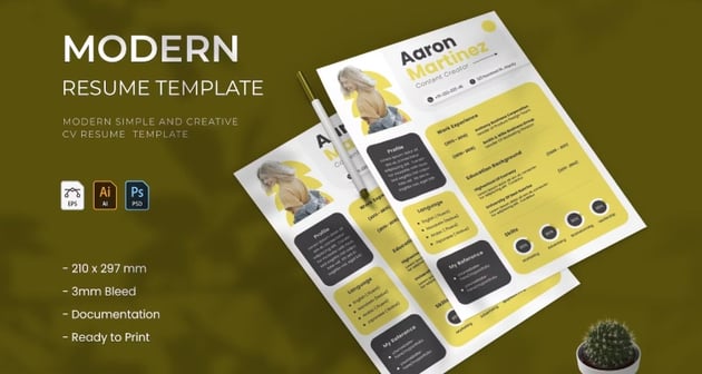 Color-Blocking Contemporary Resume