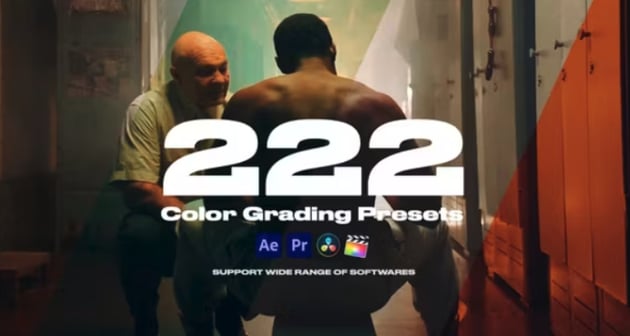 Colorify 222 LUTs
