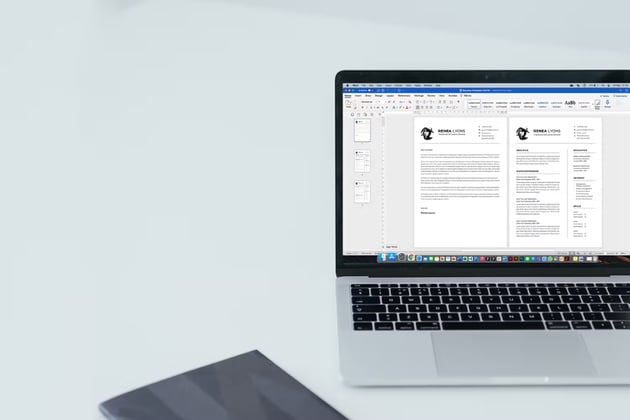 CV Resume - Finance Resume Sample