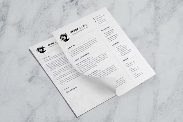 CV Resume - Finance Resume Sample