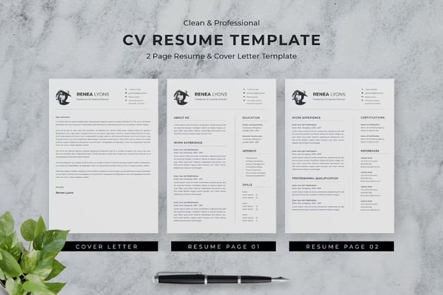 CV Resume - Finance Resume Sample
