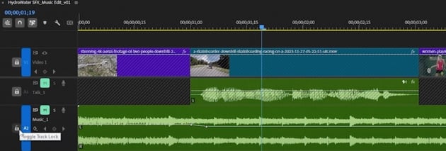 locked and muted tracks