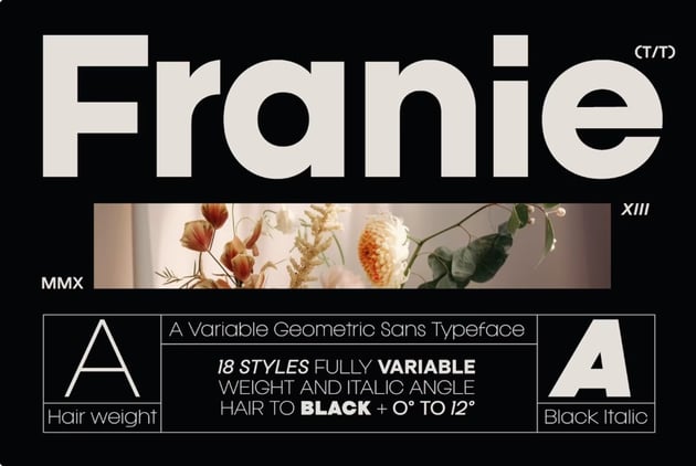 Franie is a geometric sans font that comes with both bold and light versions.