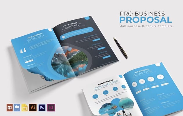 Pro Business Proposal template