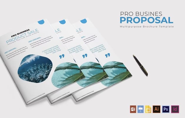 Pro Business Proposal Template
