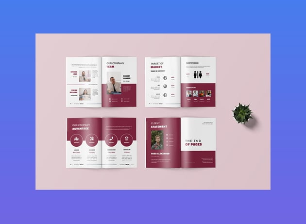 Client Proposal Template 25 Pages