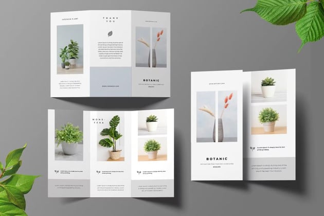 Botanical Trifold Brochure