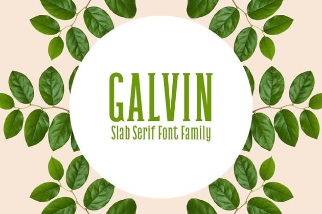 Galvin Slab Serif Font Family Pack