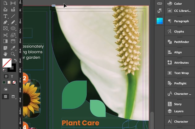 Preview image standard