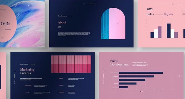 Zovia Infographic Template Slides