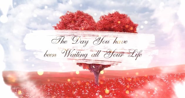 color wedding slideshow