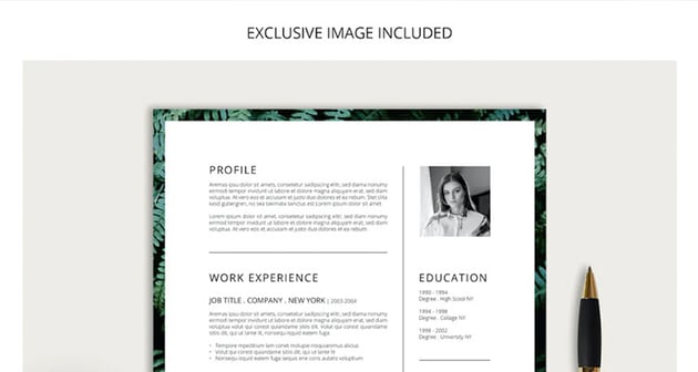 FERNS Resume CV Cover Letter