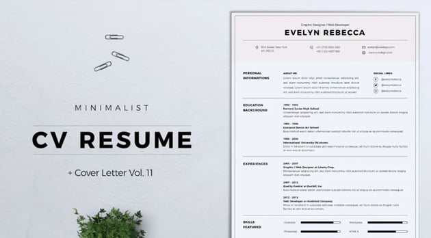 Neat CV Template for Google Docs & Word