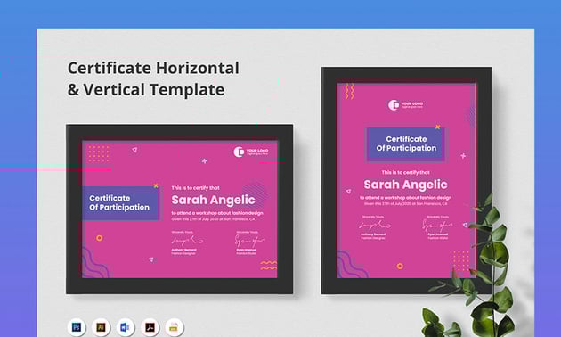 The Certificate Creative Fun