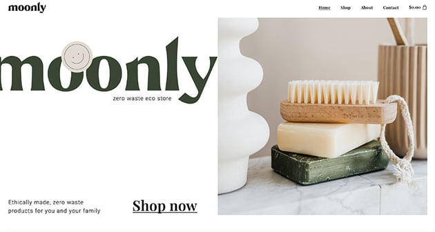 Eco Shop eCommerce Elementor Template