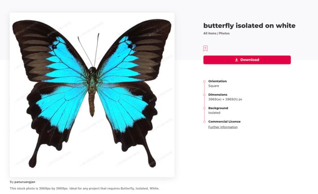 Butterfly photo from Elements