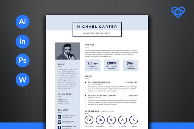 Creative Infographic CV Template Design for 2024