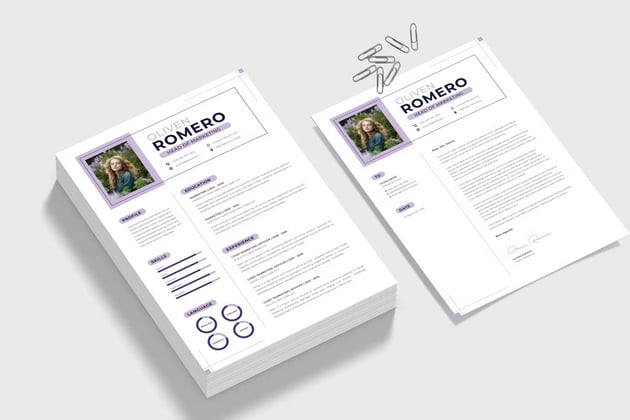 CV Infographic Resume Example