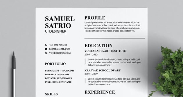 Pros Resume & CV Templates