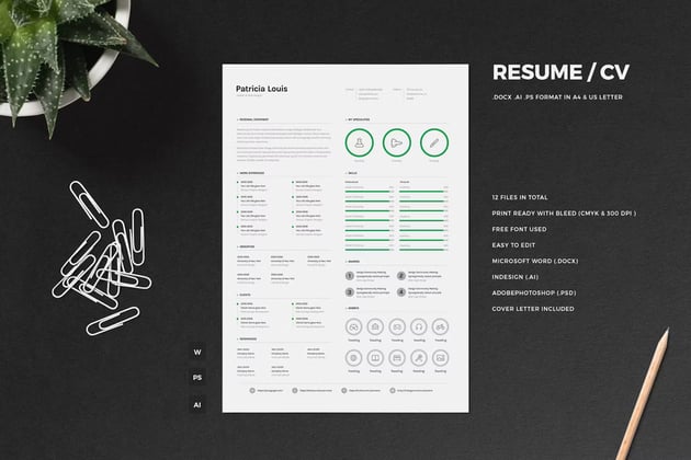 Visual CV resume with icons