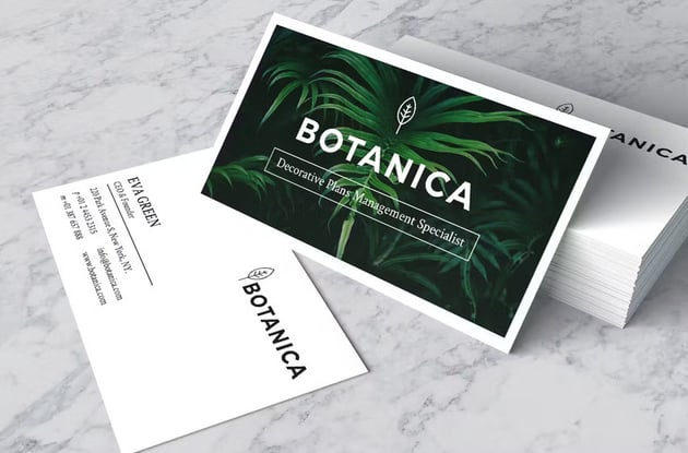 Botanica is a high-quality premium business card template for Illustrator.