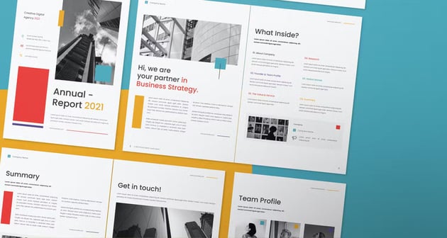 Non Profit Annual Report