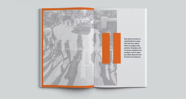 Minimalist Annual Report