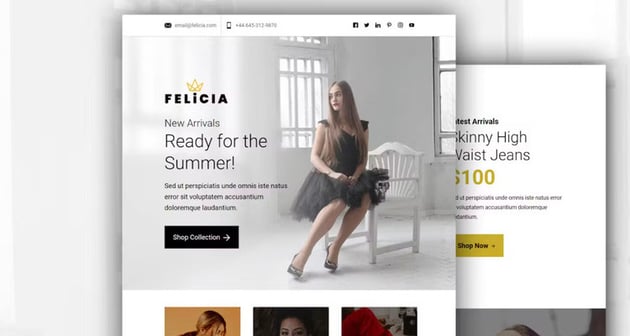 Felicia - E-commerce Responsive Email Template