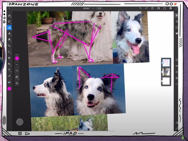Adobe Fresco tutorial: Emma the Border Collie in triangle shapes.