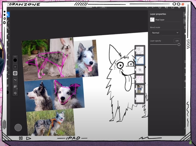 Adobe Fresco tutorial: Cleaner sketch of Emma the Border Collie.
