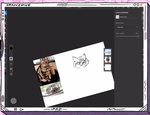 Adobe Fresco artwork: add details to the face of Cleto the cat.