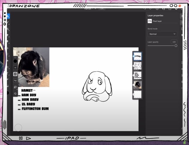 Chris Piascik drawing pets: cleaner sketch of Hamlet the bunny.