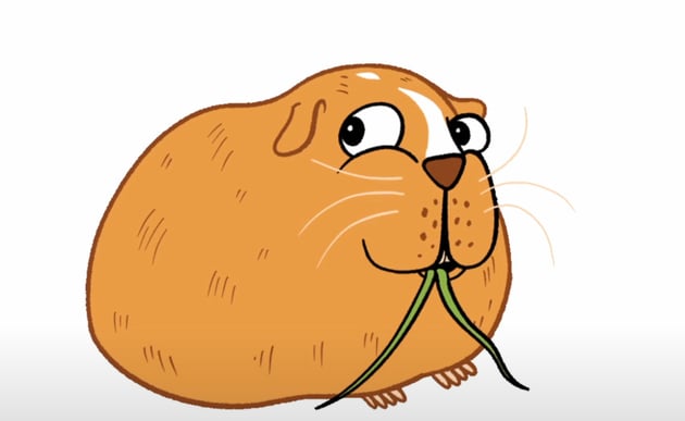 Final sequence of Ginger the guinea pig.