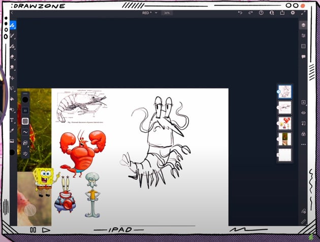 Pet drawings: sketching Red the Shrimp.