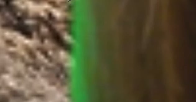 Left Over Remnants Of Edit Visible On Edge Of Top Layer Image