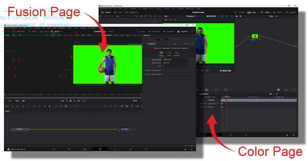 Color Page And Fusion Page