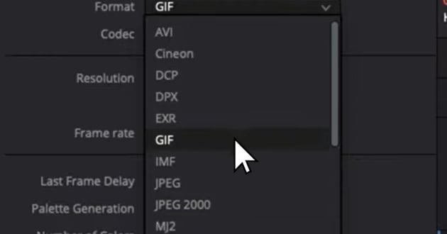 Click Format And Choose GIF
