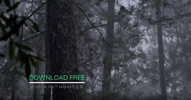 Line Drop Lower Third Thumbnail Image with DaVinci Resolve Effects.