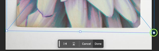 botanical gel print effect in photoshop