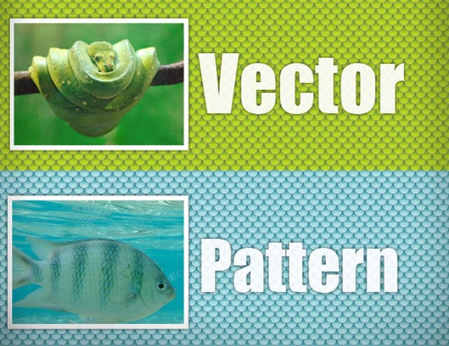 Scales Vector Pattern 